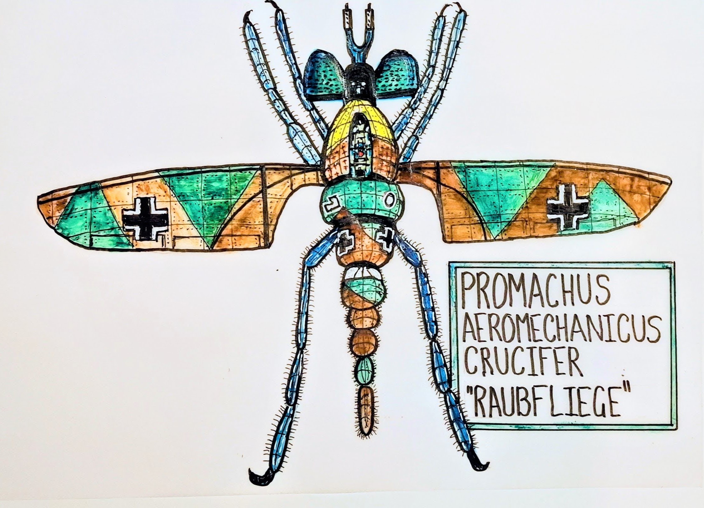 Promachus Aeromechanicus Crucifer, a robber fly fighter